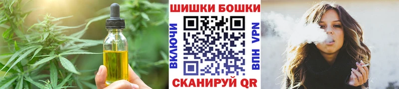 купить наркотики цена  Канаш  Cannafood марихуана 