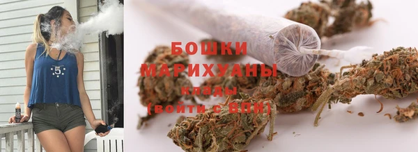 индика Алзамай