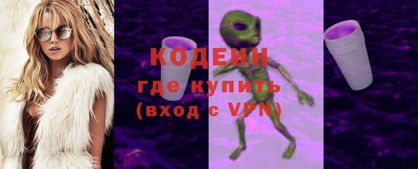 индика Алзамай