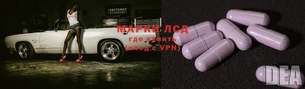 индика Алзамай