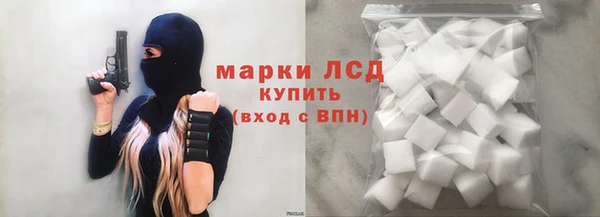индика Алзамай