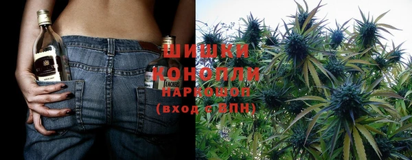 индика Алзамай