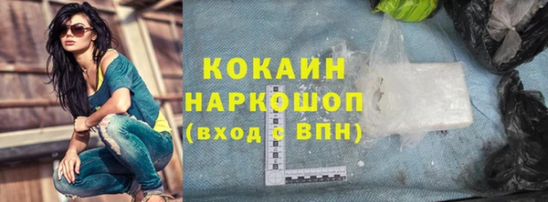 индика Алзамай